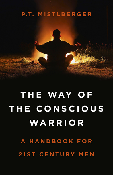The Way of the Conscious Warrior book cover