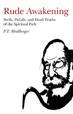 Cover of Rude Awakening: Perils, Pitfalls, and Hard Truths of the Spiritual Path by P.T. Mistlberger