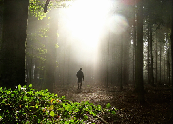 Walking through the woods