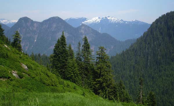 View from a mountain summit in the BC Coast Mountains