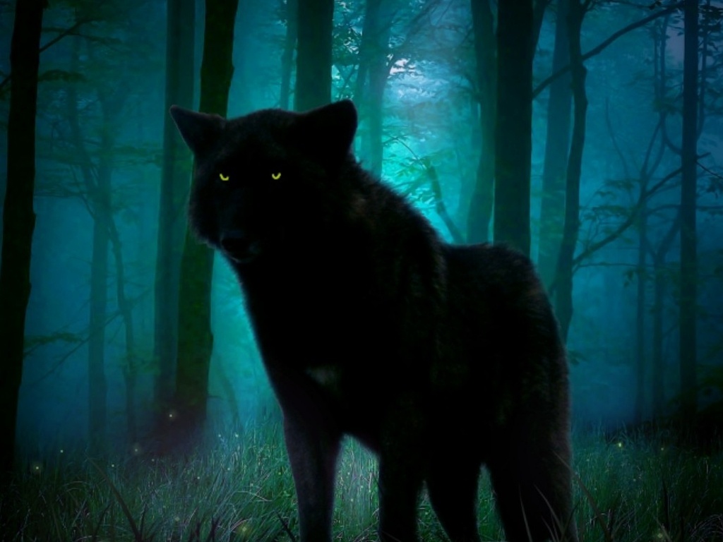 Black wolf