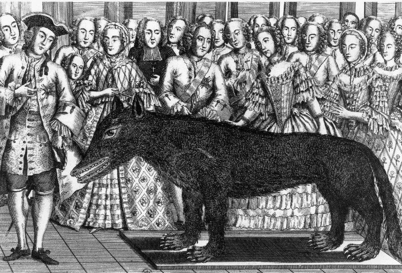 The Wolf of Chazes, shot in 1765 and initially thought to be the Beast of Gévaudan